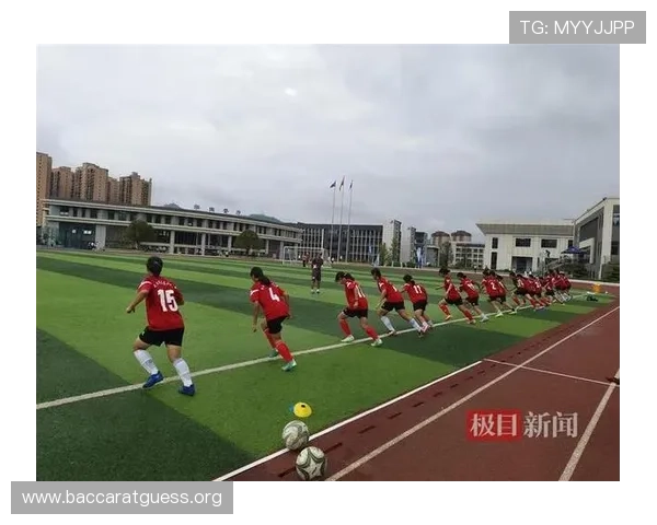 深入了解DB真人体育的优势与特色,助你轻松体验高品质真人体育赛事