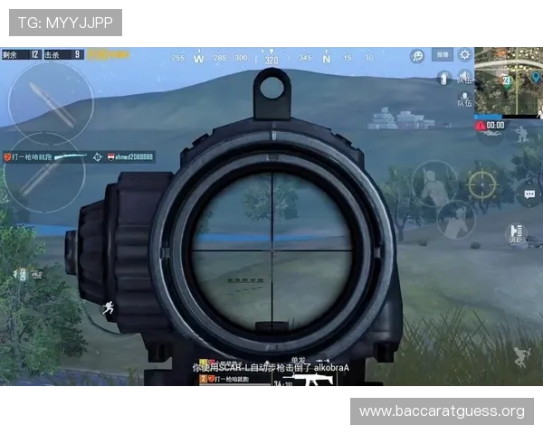 掌握真人国际攻略的实用技巧让你在国际服中快速提升战斗实力