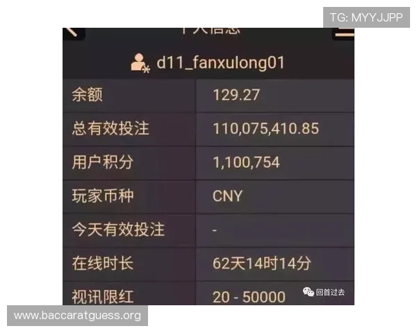 掌握AG百家乐游戏的基本规则与高级技巧实现持续盈利的秘诀