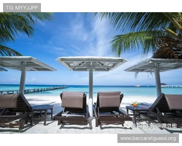 澳门赌场都有哪些玩法多样选择，涵盖传统与现代元素满足不同玩家的娱乐偏好