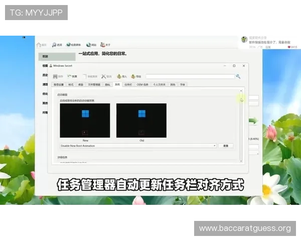 瓦力视讯下载后如何进行设置与个性化定制，提升使用体验
